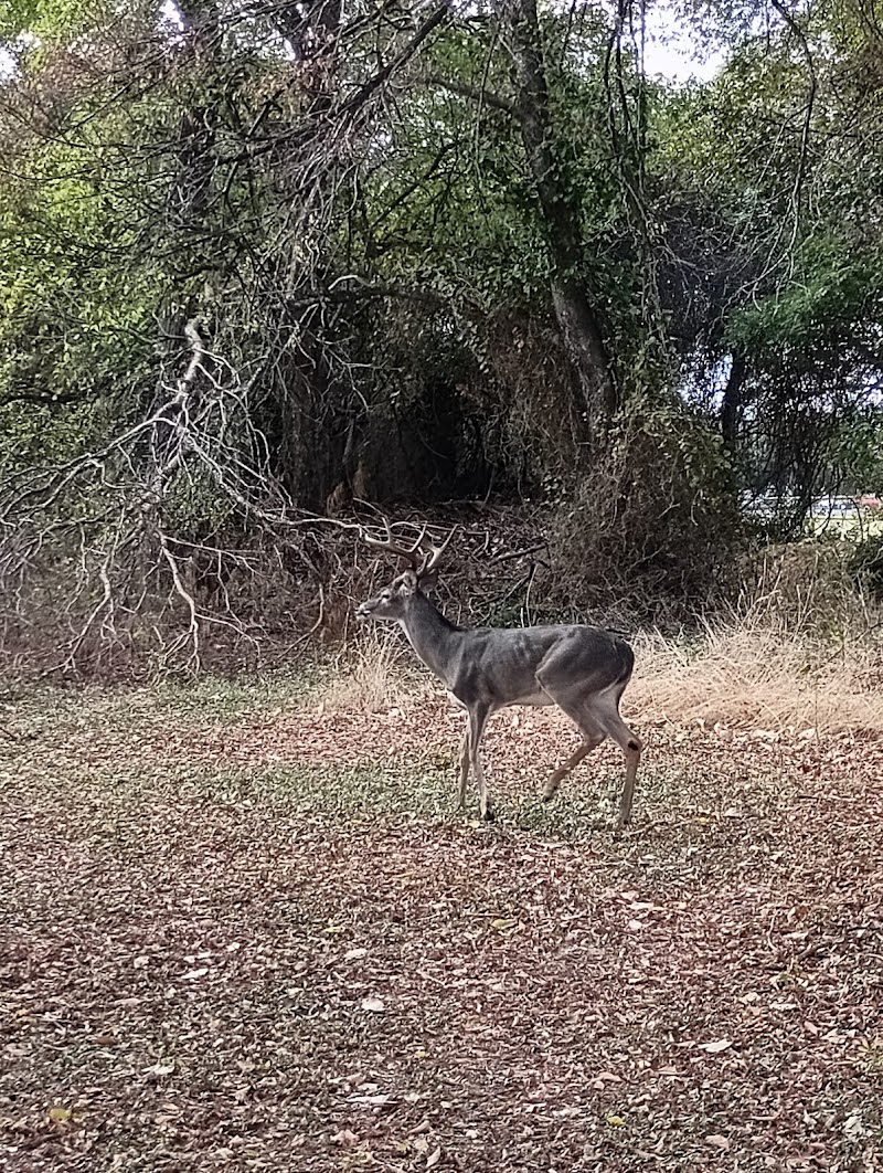 Little G Disc Golf Course photo 2