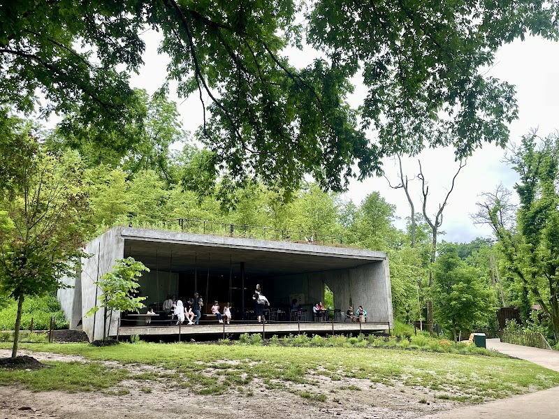 Airship Coffee at Coler photo 4