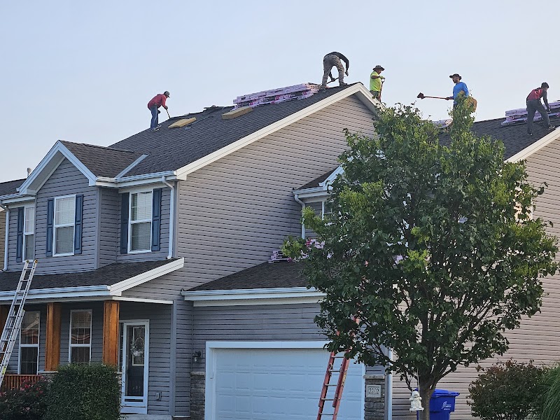Red Rhino Roofs & Solar photo 2