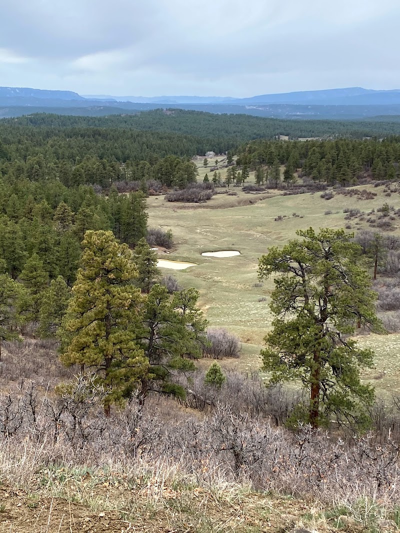 High Mountain Hunts, LLC - Photo 5