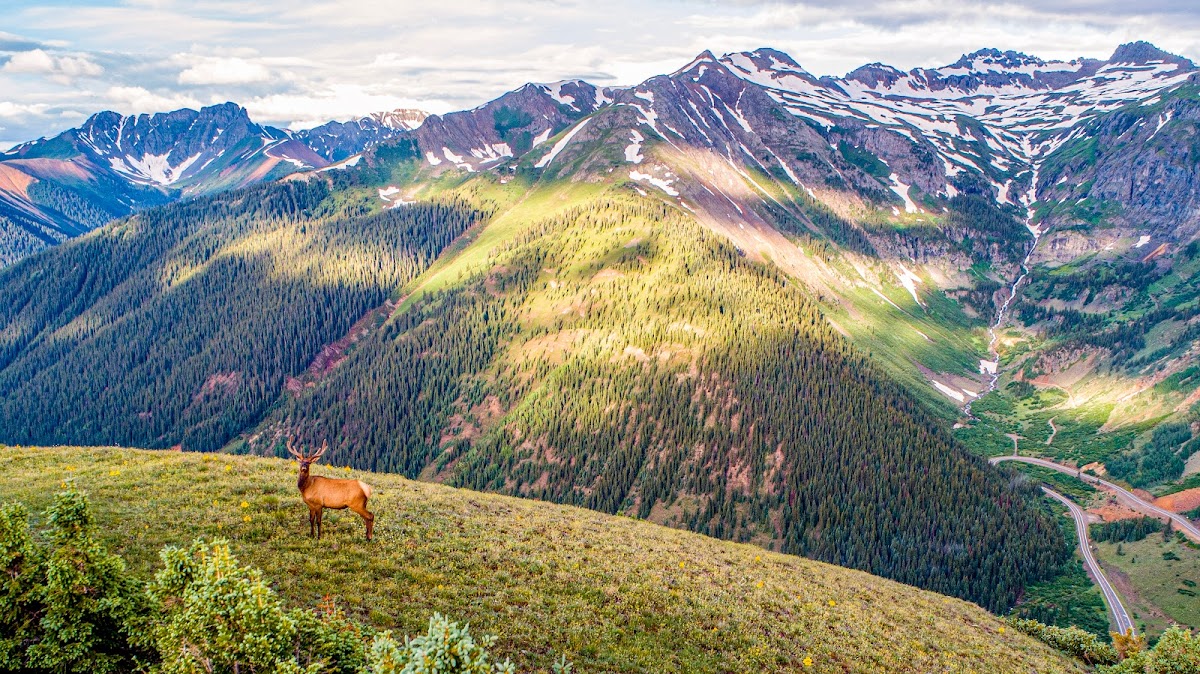 High Mountain Hunts, LLC