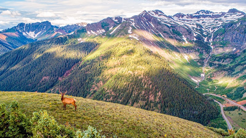 High Mountain Hunts, LLC - Photo 3