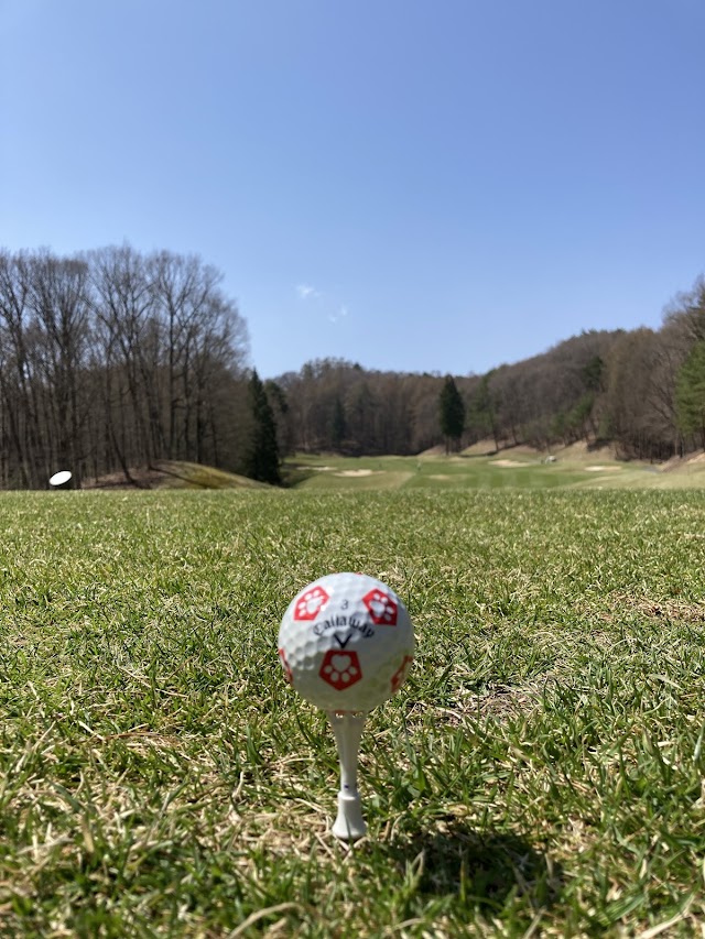 Saku Resort Golf Club - Photo 10