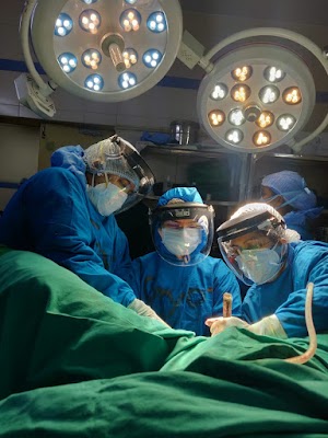 Dr. Rita Bang
