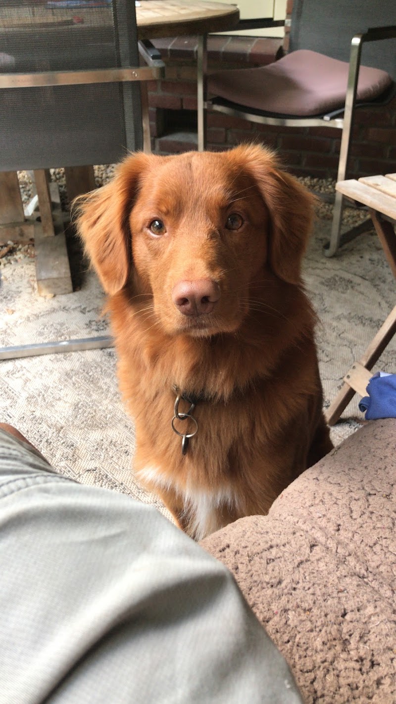 Clínica Veterinaria San Roque photo 2