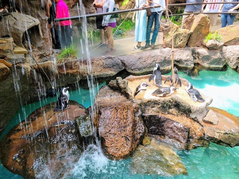 The Dallas World Aquarium photo 5