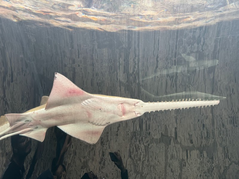 The Dallas World Aquarium photo 4