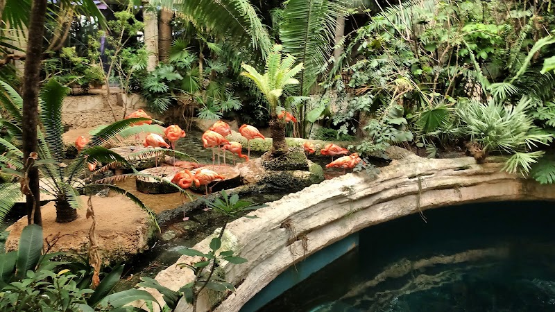 The Dallas World Aquarium photo 1