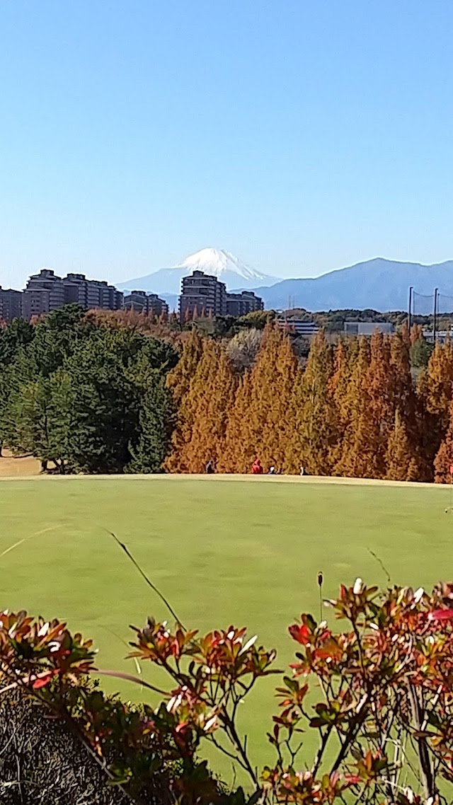 Totsuka Country Club - Photo 8