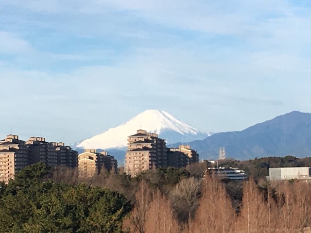 Totsuka Country Club - Photo 7