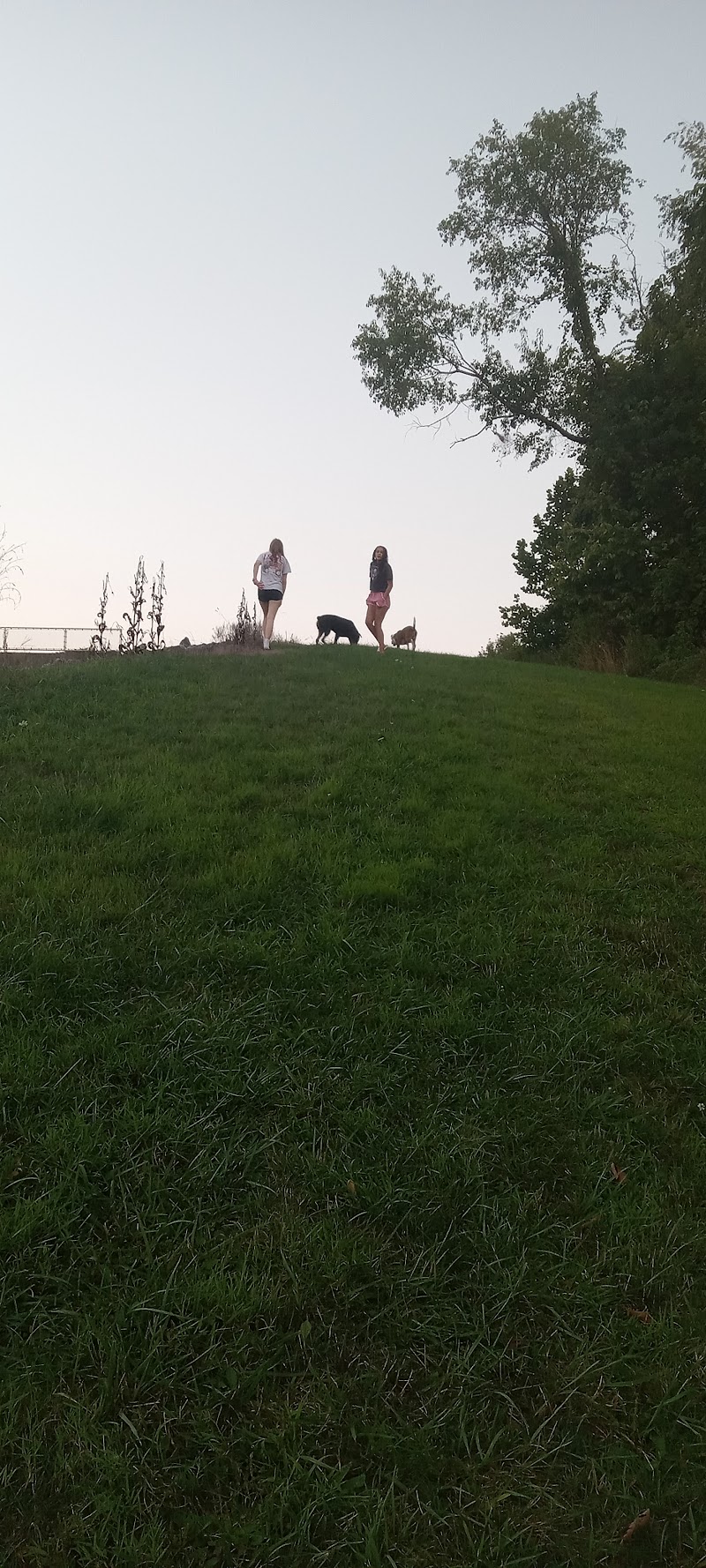 Kokosing Dam Disc Golf Course photo 5