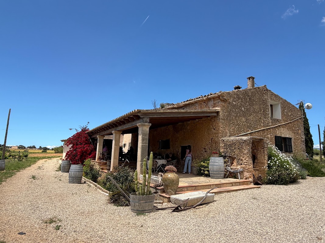 Bodega, Ca Sa Padrina