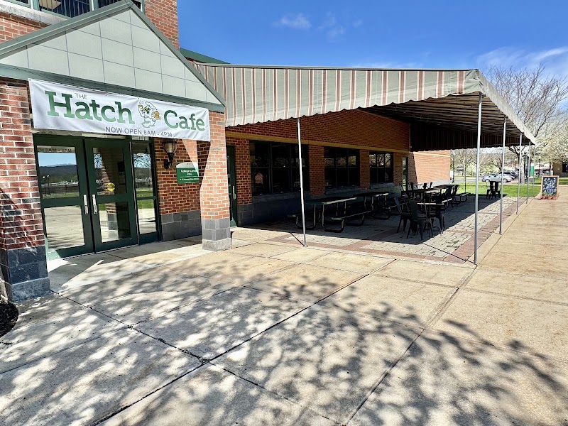 The Hatch Cafe photo 3