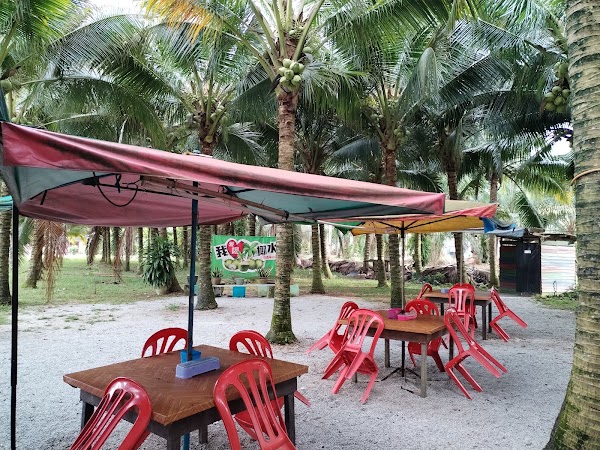I Love Coconut Bukit Pelandok （）