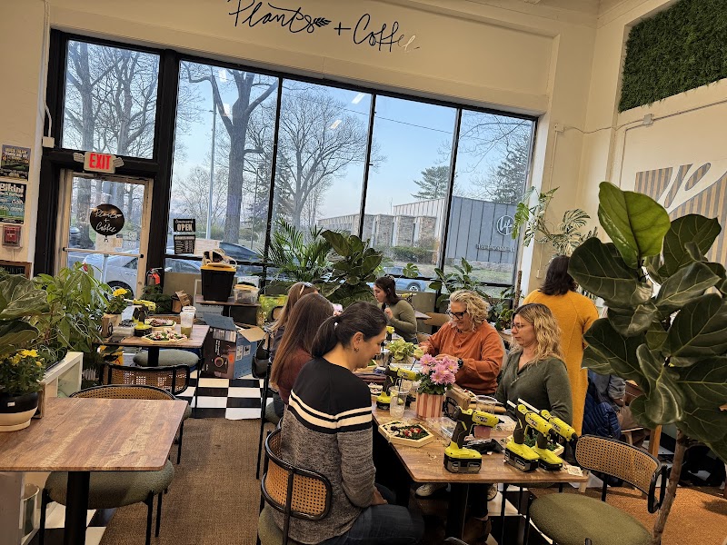 Plants + Coffee photo 2