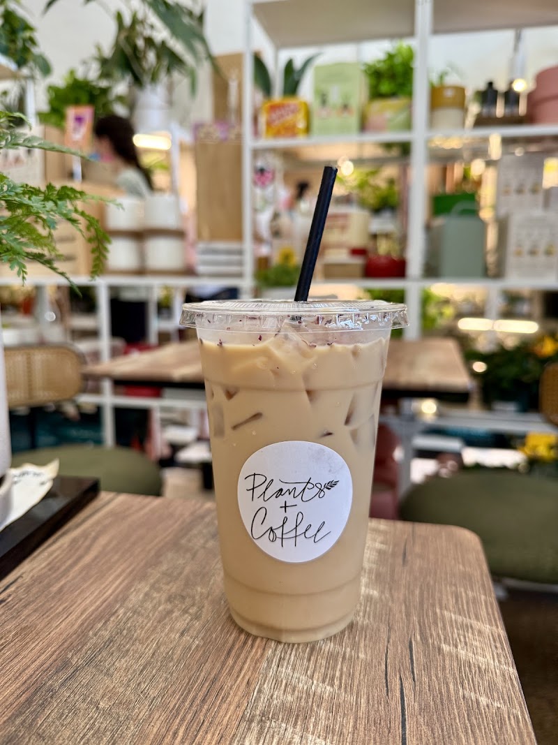 Plants + Coffee photo 4