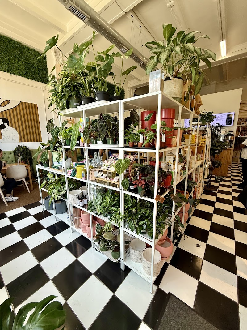 Plants + Coffee photo 3