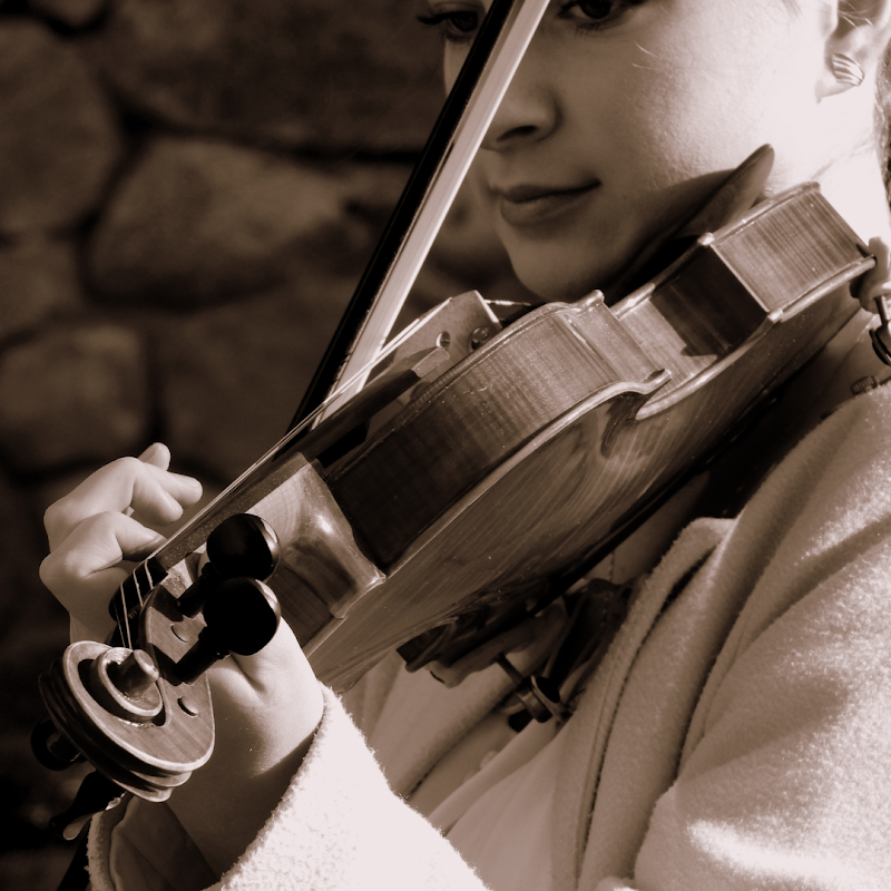 Escuela Arcos Centro Pedagógico Musical Sl