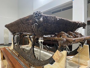 Viking Ship Museum