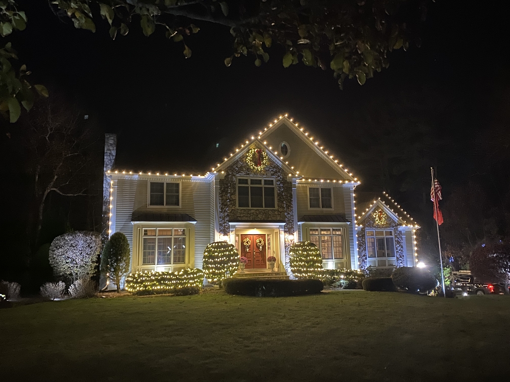 Holiday Lights Decor: Google Places image 1