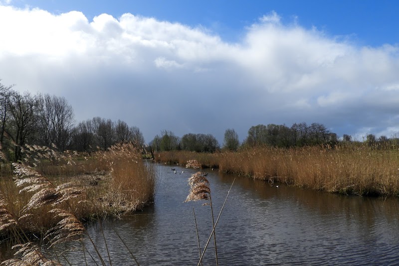 Polderpark Cronesteyn