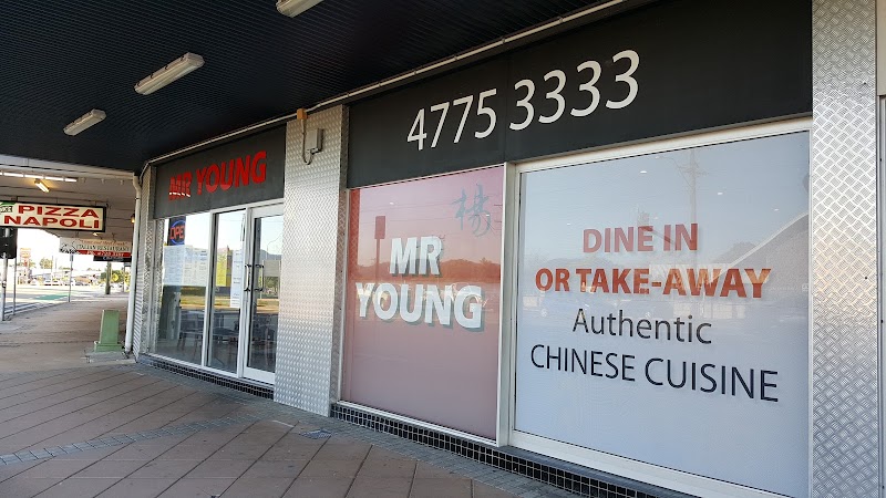 Mr Young Chinese Takeaway