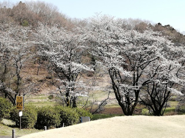 Tokyo International Golf Club - Photo 3