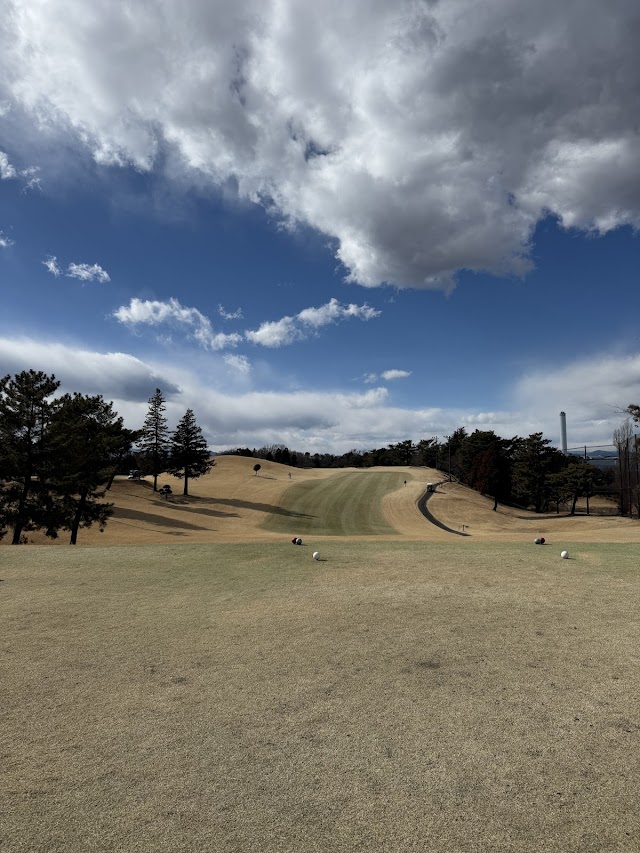 Tokyo International Golf Club - Photo 2