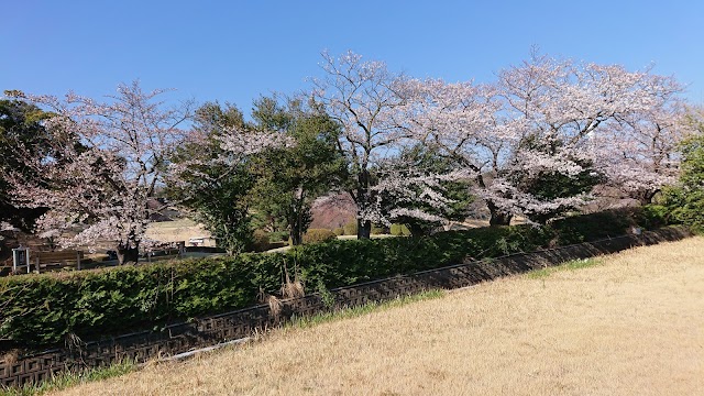 Tokyo International Golf Club - Photo 5