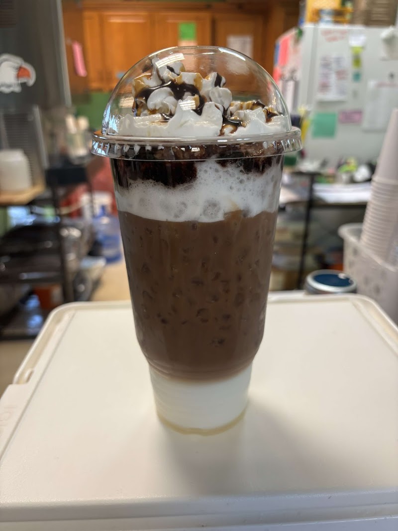 SOLID GROUNDS photo 4