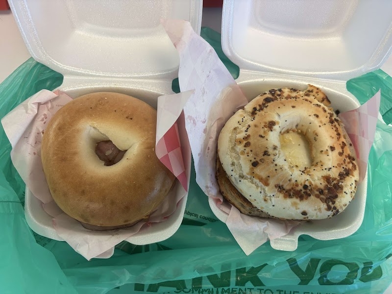 SOLID GROUNDS photo 2