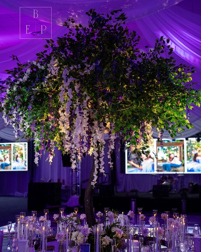 Boutique Event Planners - Fort Lauderdale: Google Places image 2