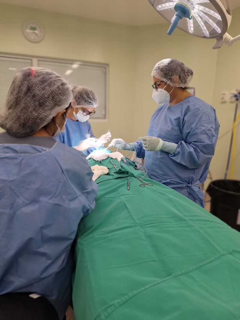 Dra. Mariana Araújo Maciel - foto 3