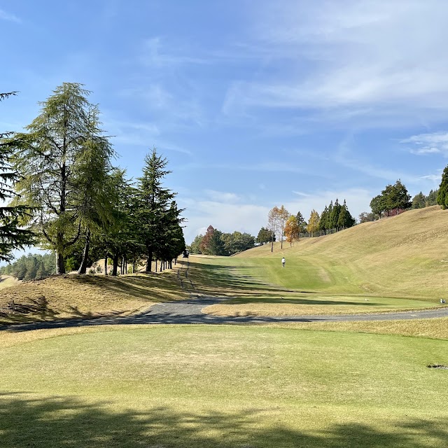 Belle Green Country Club - Photo 4