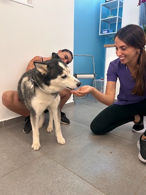 Family Vet - ד״ר מור פימה דניאלי - וטרינרית בחיפה