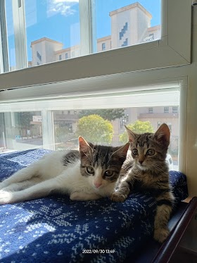 Clínica Veterinaria El Parque