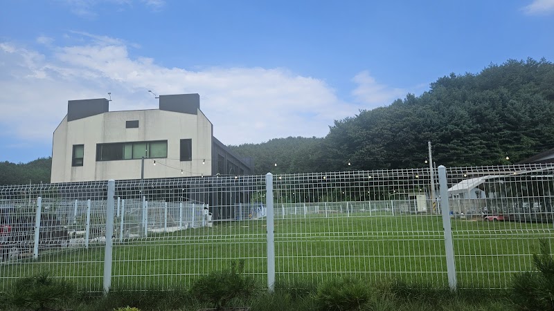 파인독 사진 3