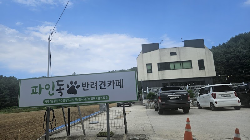 파인독 강릉시 애견카페