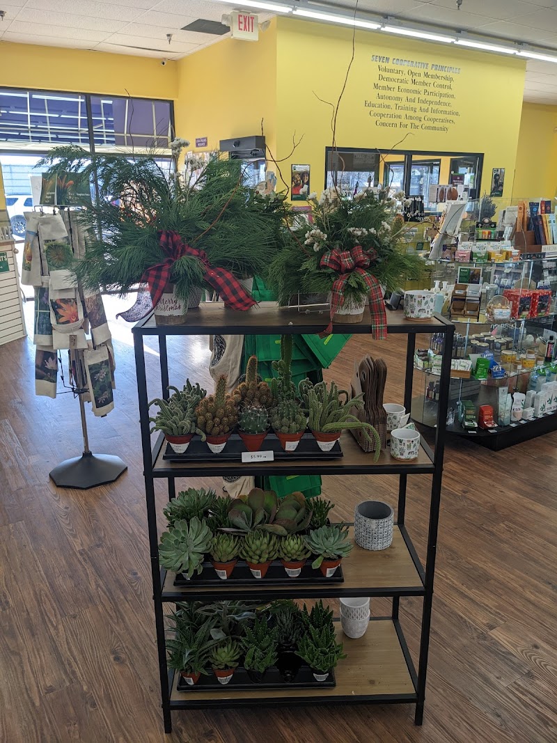 Basics Cooperative Natural Foods photo 4