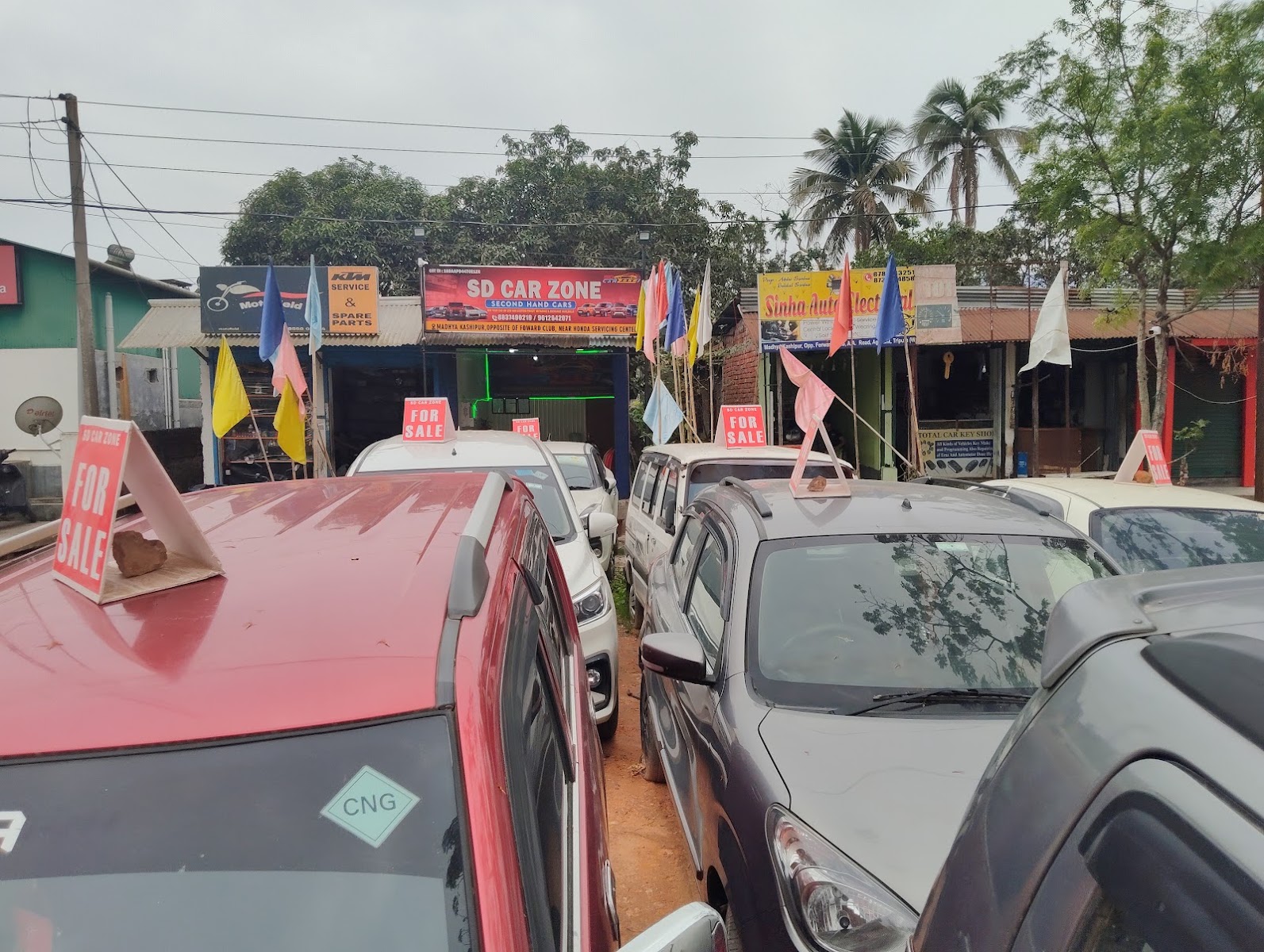SD CAR ZONE photo 1