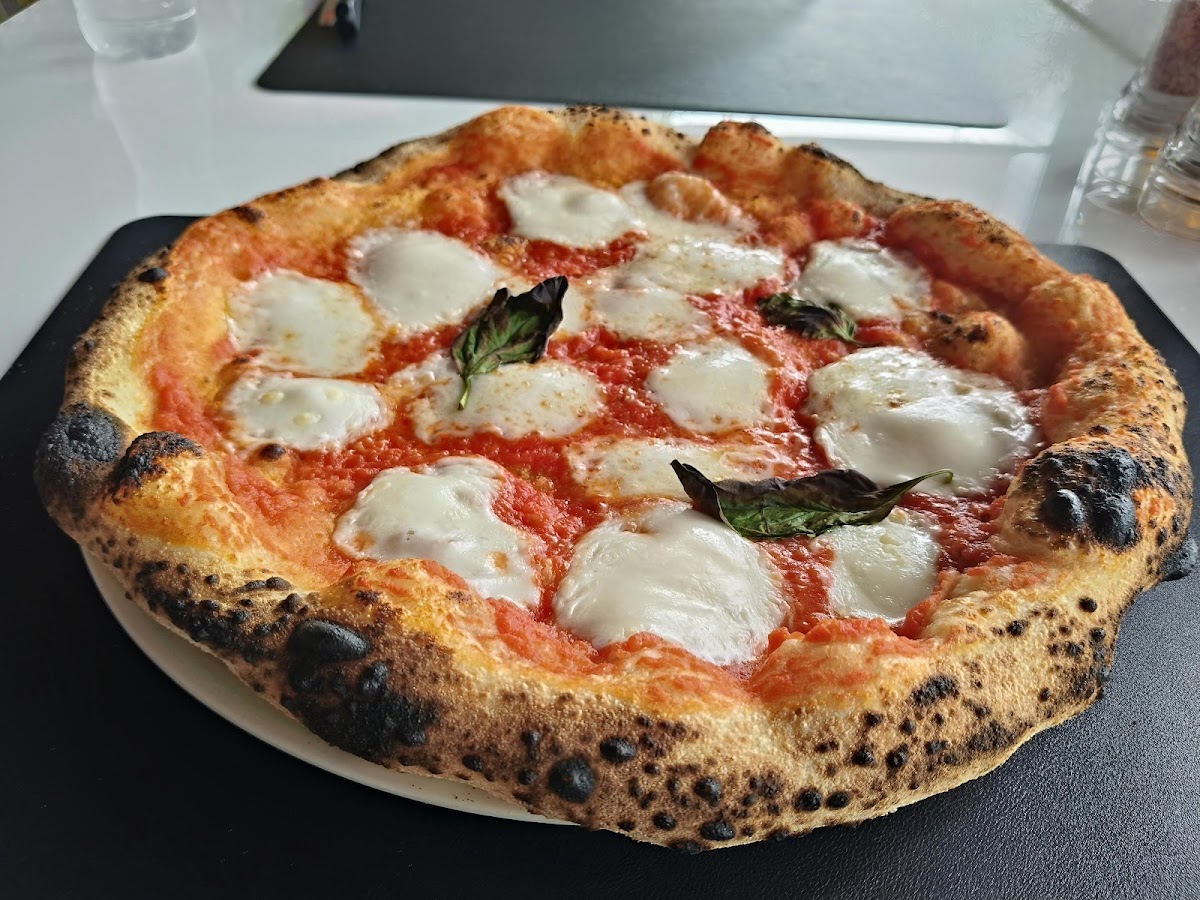 Federico's - Photo 4