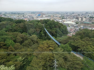 Utsunomiya Tower - 5