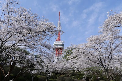 Utsunomiya Tower - 4