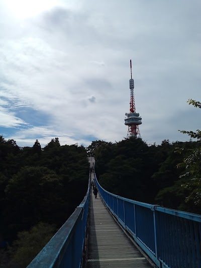 Utsunomiya Tower - 1