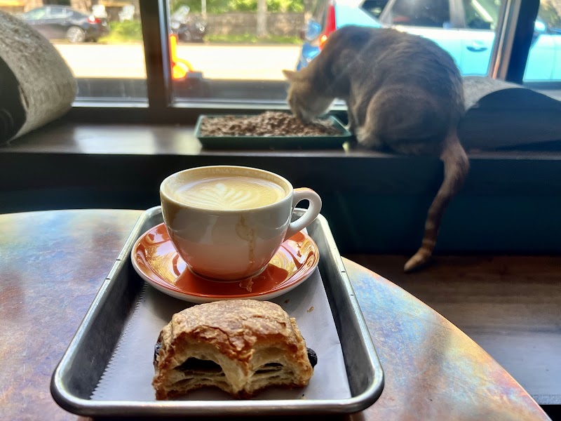 Catzen Coffee photo 3