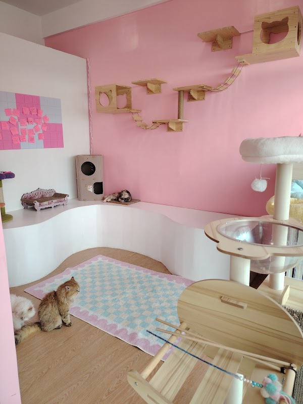 Meowffin Town Cat Cafe