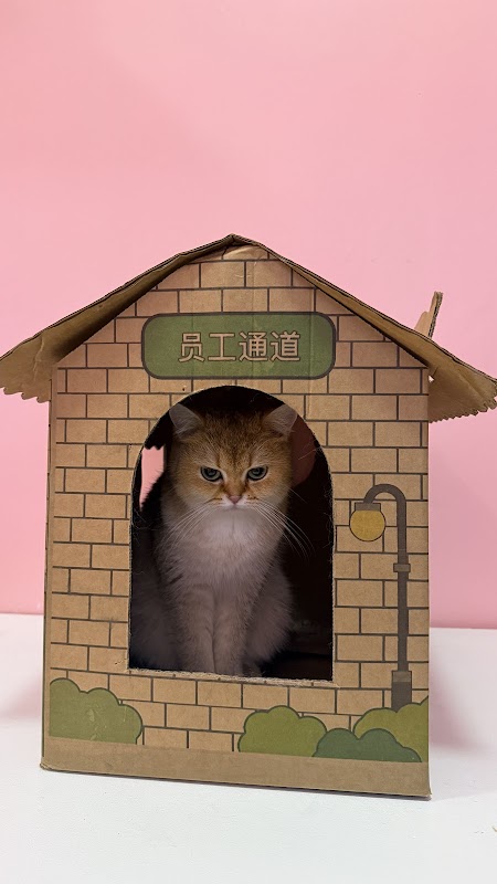Meowffin Town Cat Cafe