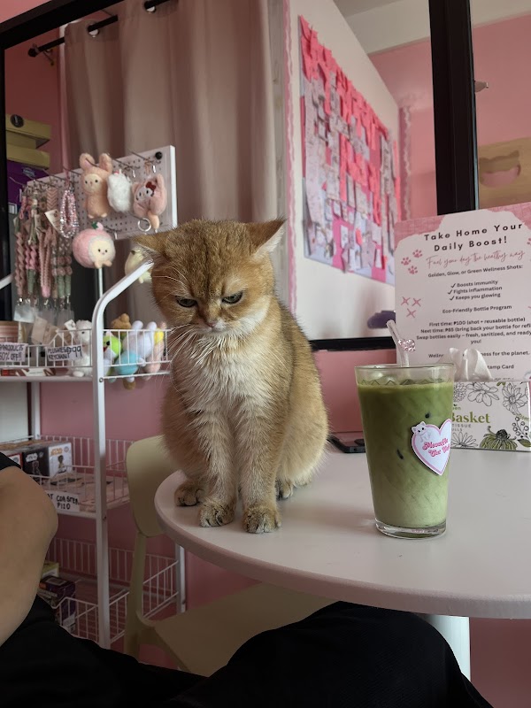 Meowffin Town Cat Cafe