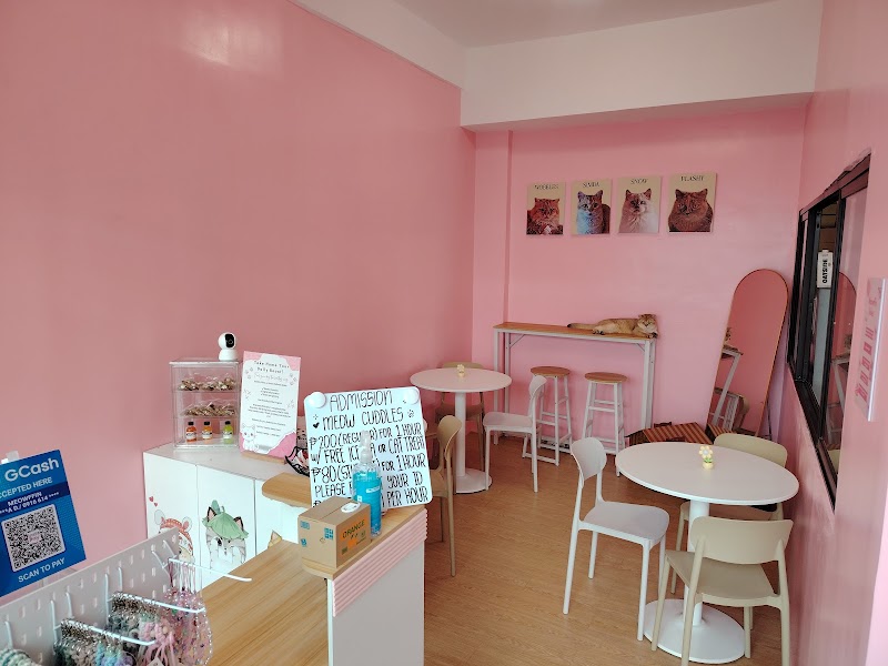 Meowffin Town Cat Cafe
