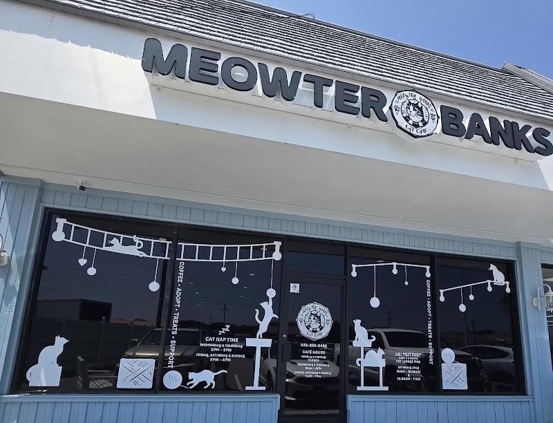 Meowter Banks Cat Cafe